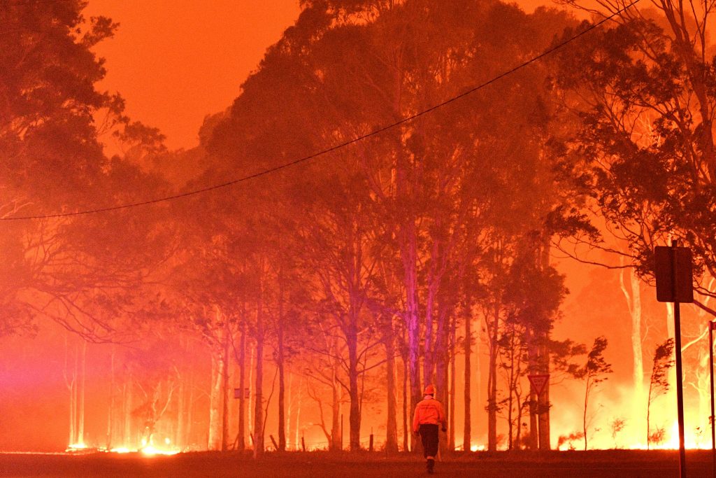 image of climate change impacts on bushfires