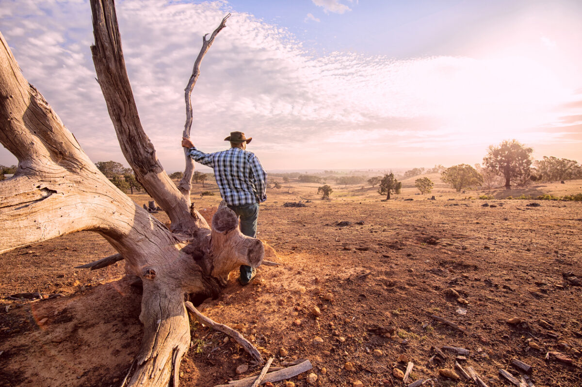 Australian farmer looks at drought stricken land