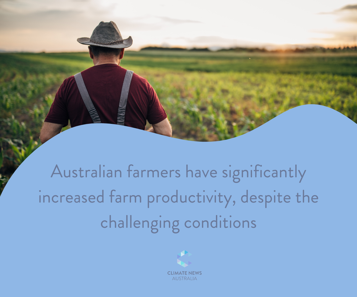 Graphic about farm productivity