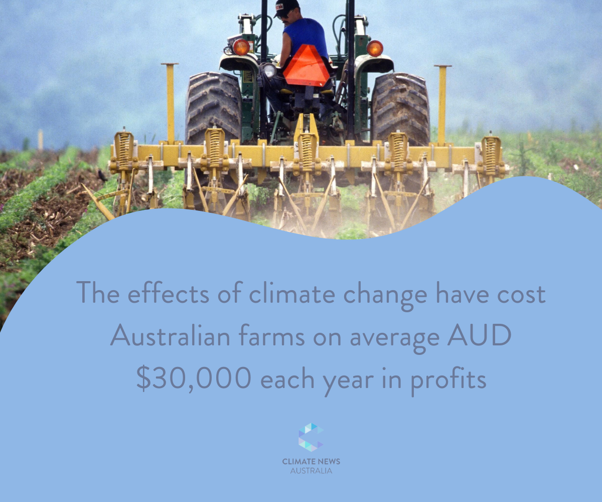 Graphic about farmer's profit loss