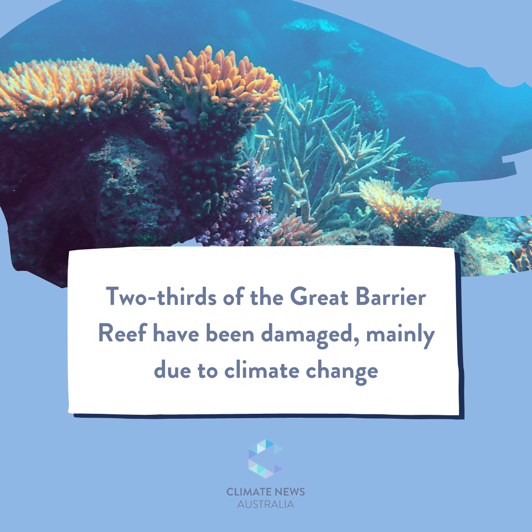 Graphic about the Great Barrier Reef