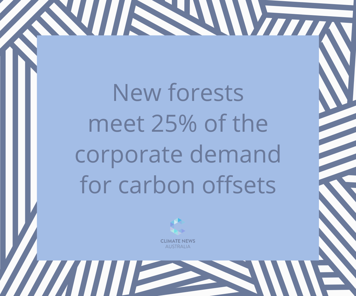 Carbon offset forest