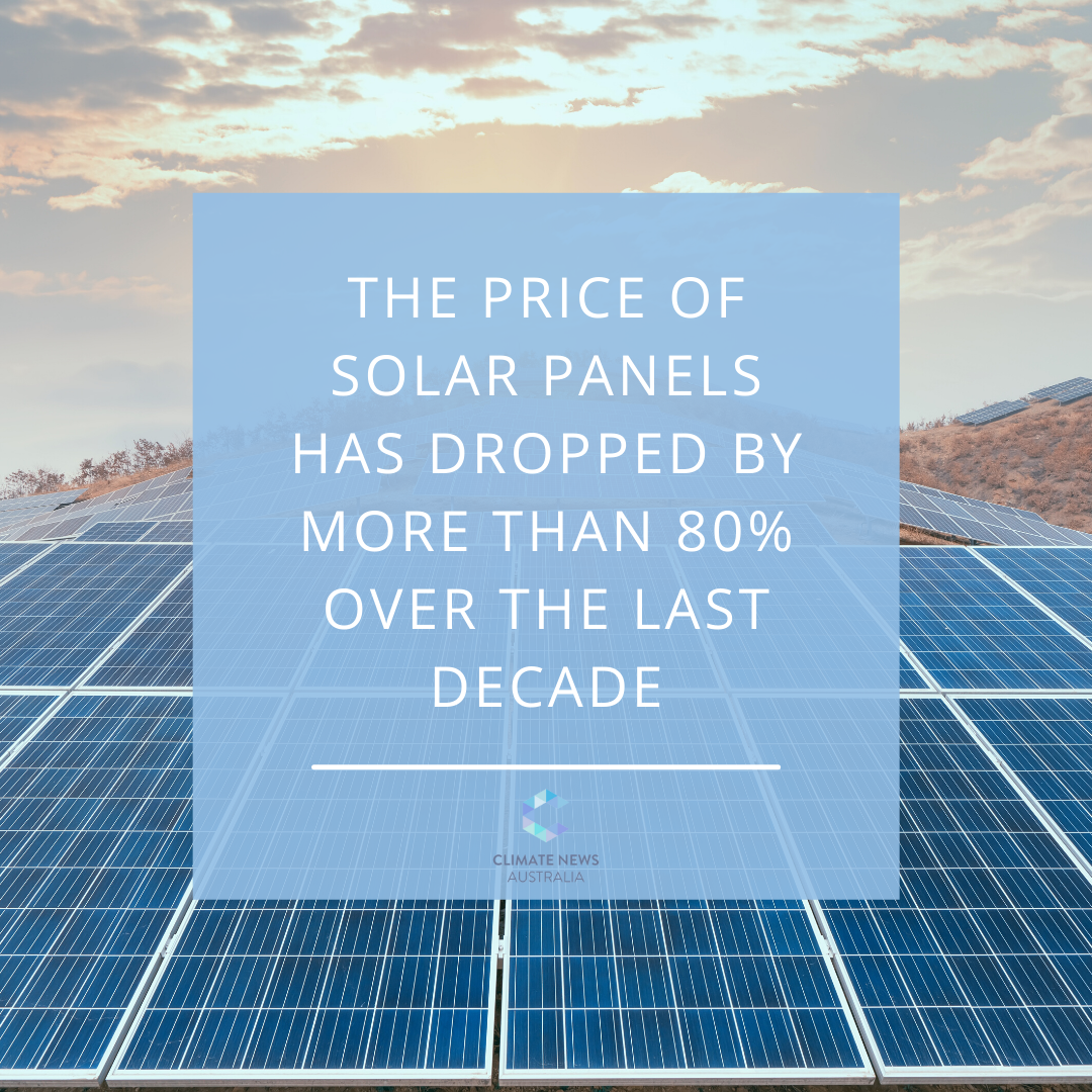 graphic of Solar panel prices