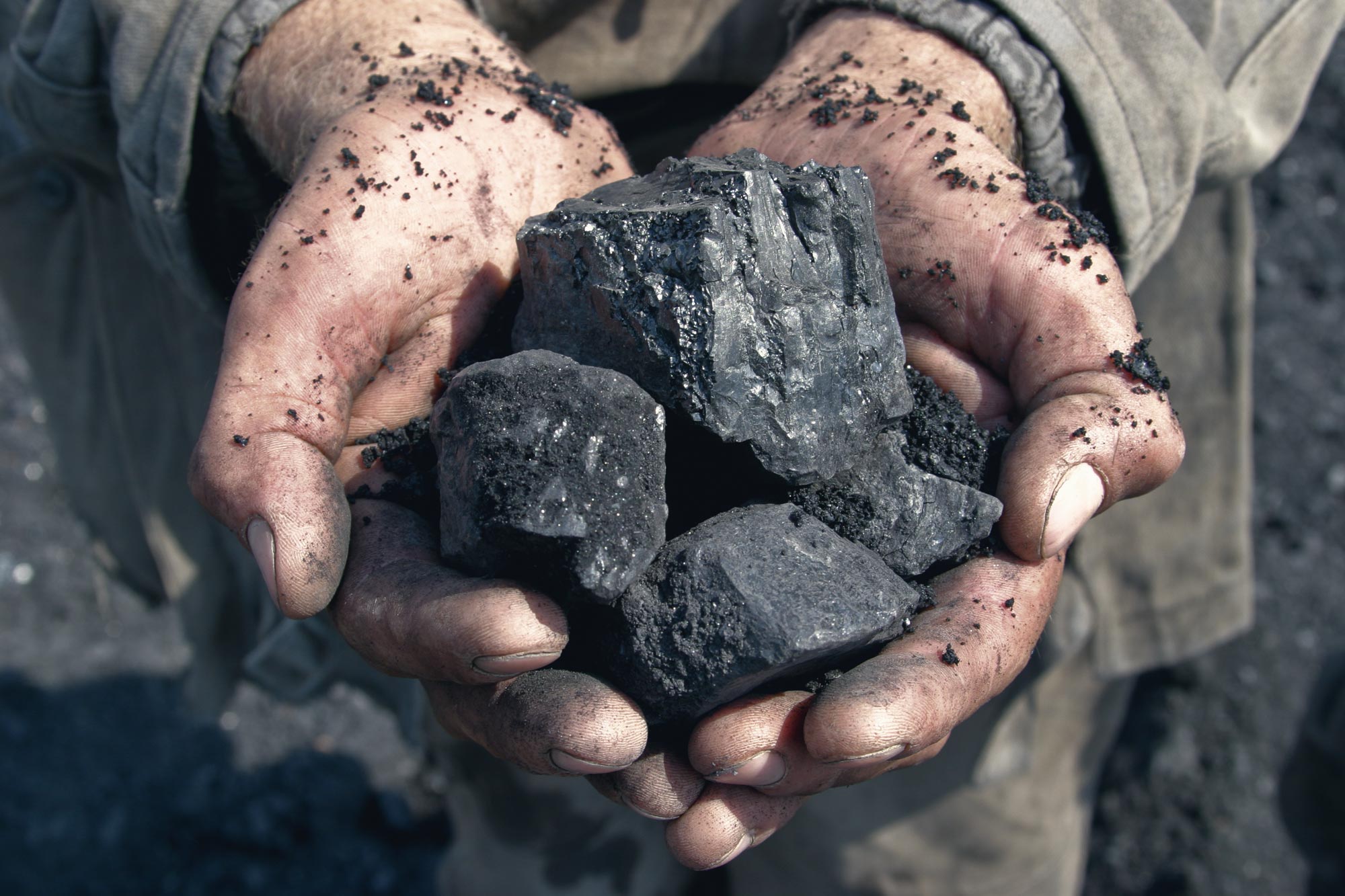 Coal industry worker holds coal in his hands