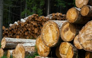 lumber is biomass