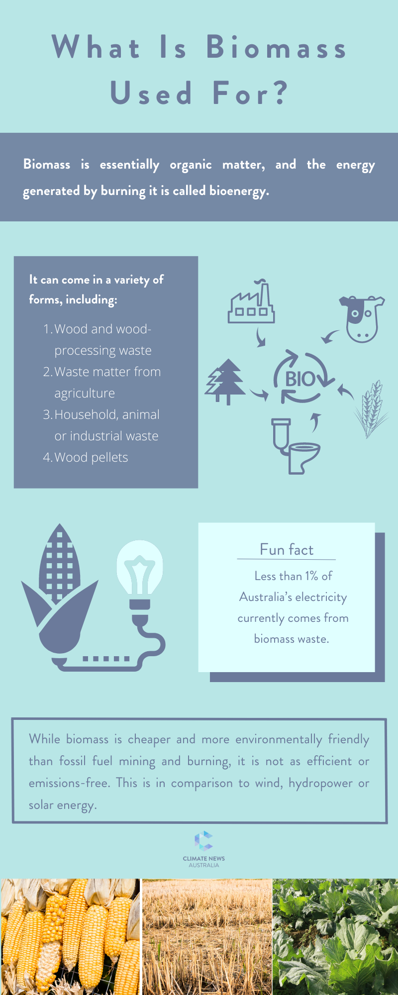 Infographic about biomass