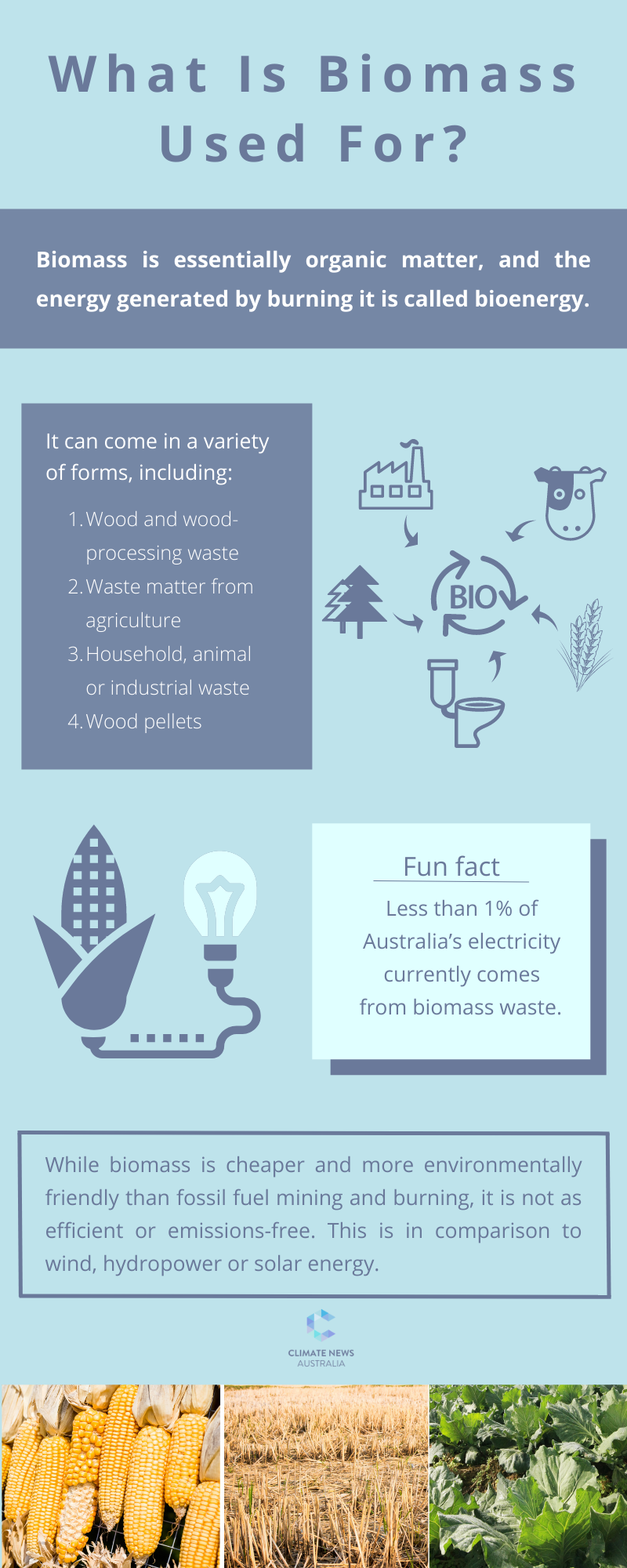 What Is Biomass Used For?