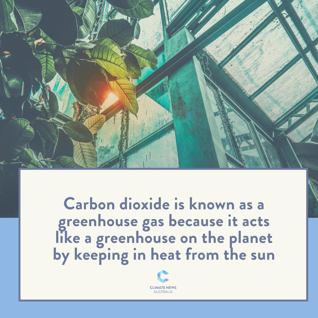 Graphic about carbon dioxide as a greenhouse gas