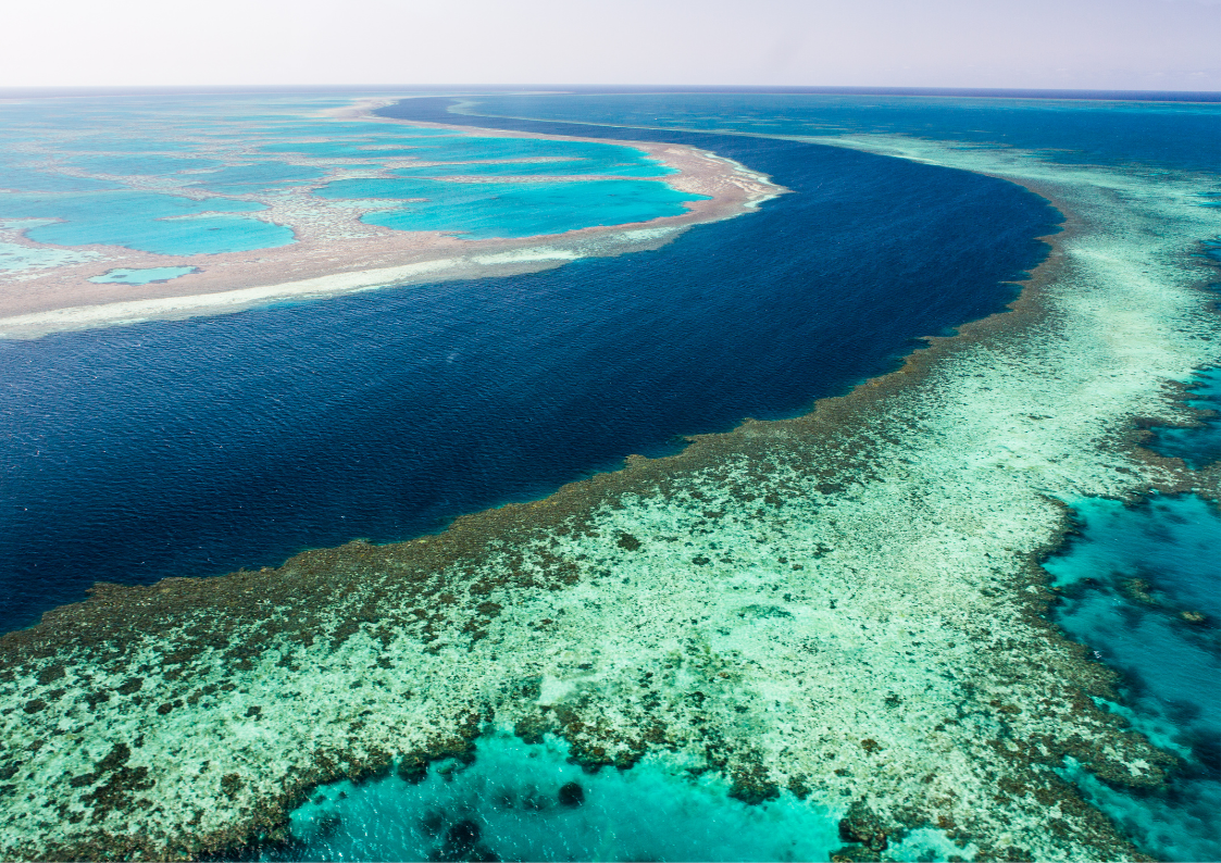 The Great Barrier Reef, under threat from pollution.