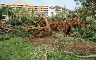 Cyclone Marcus hit Darwin, Northern Territory 2018