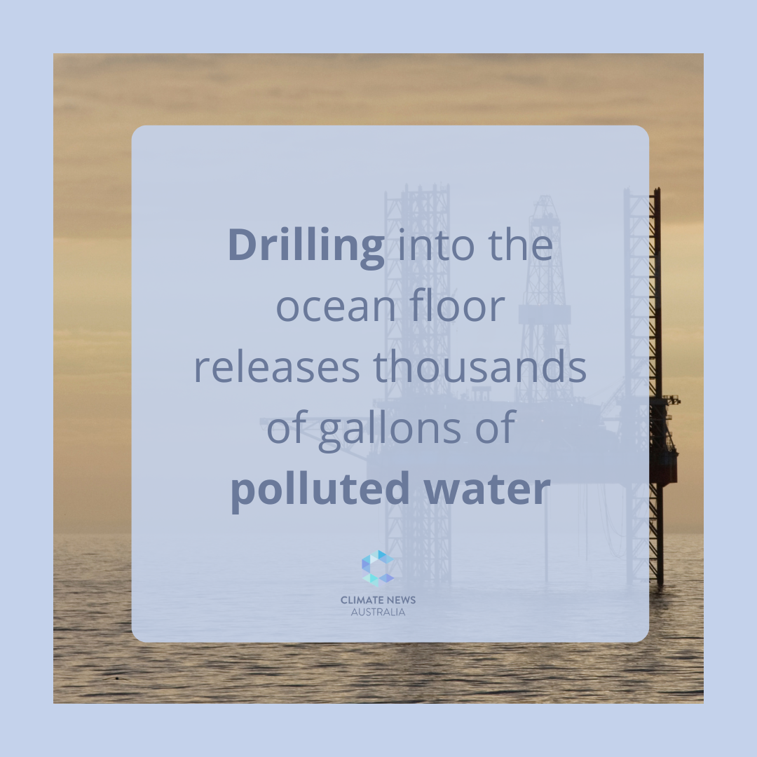 Offshore drilling impact