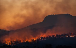 Tasmania bushfire