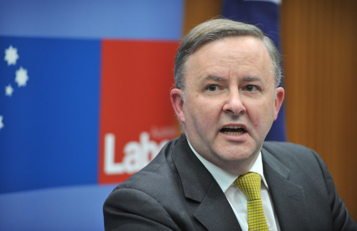 Labor leader Albanese: Is Australian labor party climate policy up to scratch?