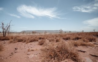 Parched land in Australia due to drought