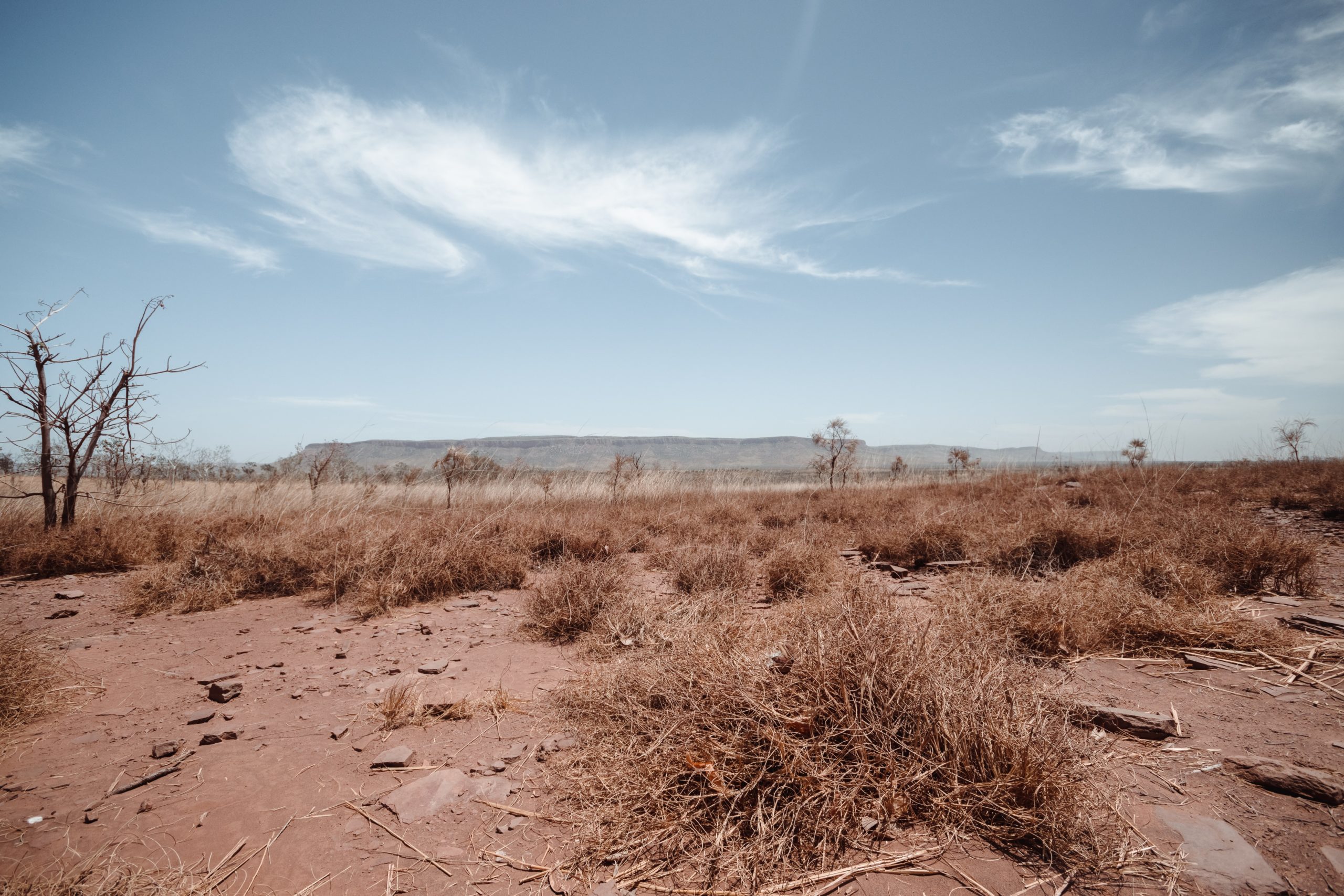 Parched land in Australia due to drought