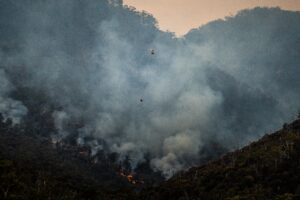 A helicopter over a forest fire in Tasmania, 2022
