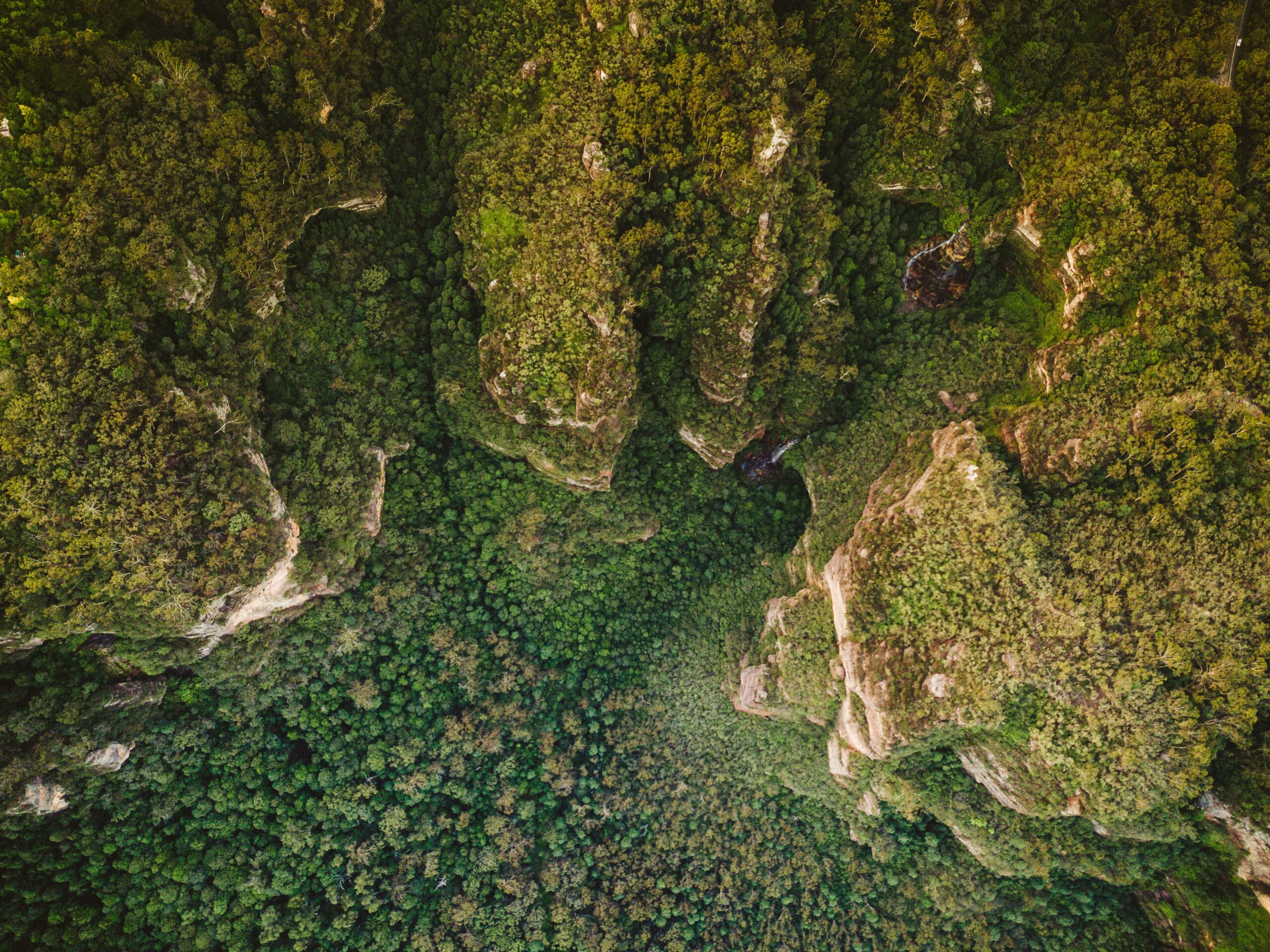 Aerial view of forested mountains, Leura, Australia