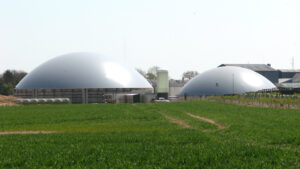 Domes of the anaerobic digesters that turn organic matter into renewable gas